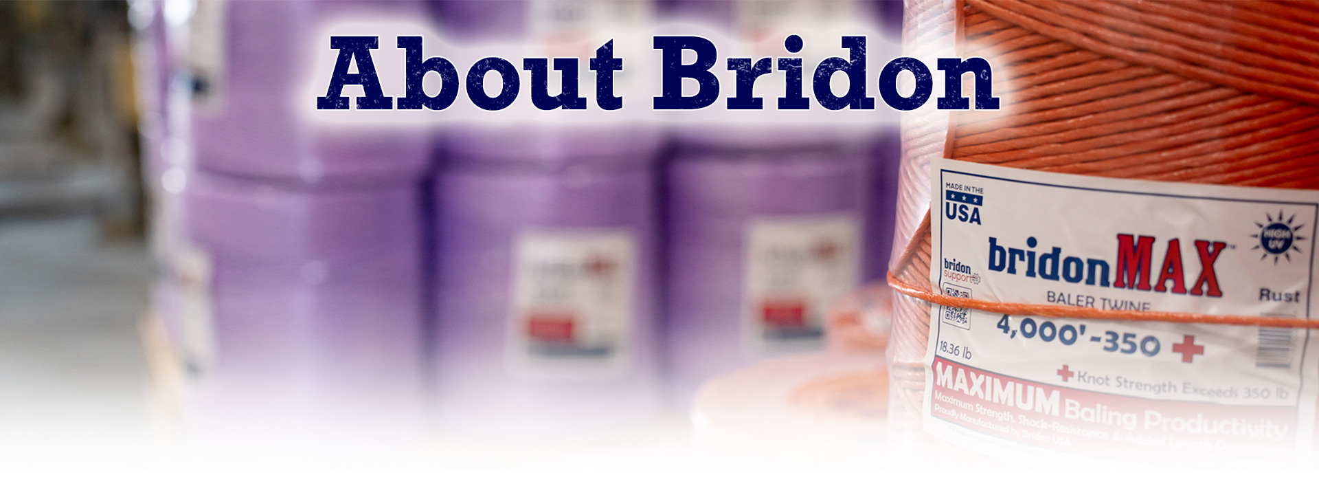 plastic agricultural baling twine